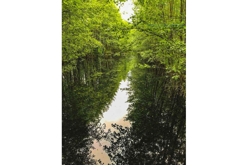 Włocławek, Lisek, Działka 4.8ha ze stawem, Rezerwacja